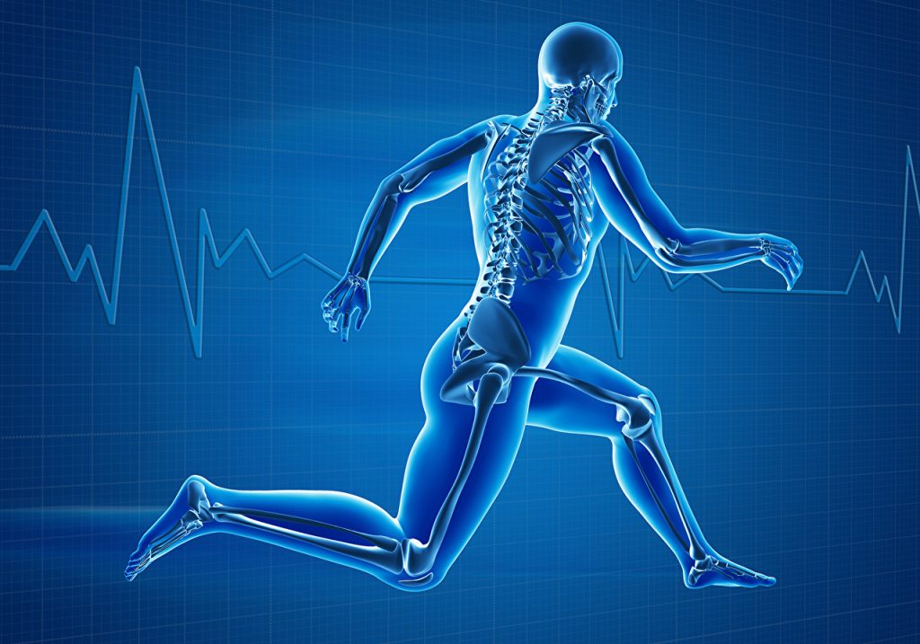 el dibujo de un esquleto humano corriendo sobre un fondo que imita la pantalla de un electrocardiograma todo en azul